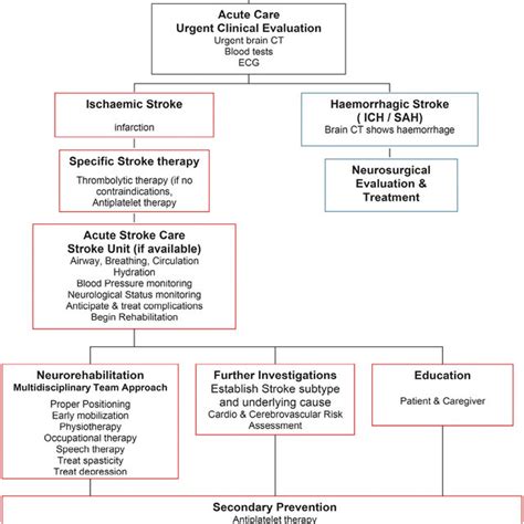 Stroke Care Management Algorithm Adapted From The 2012 National