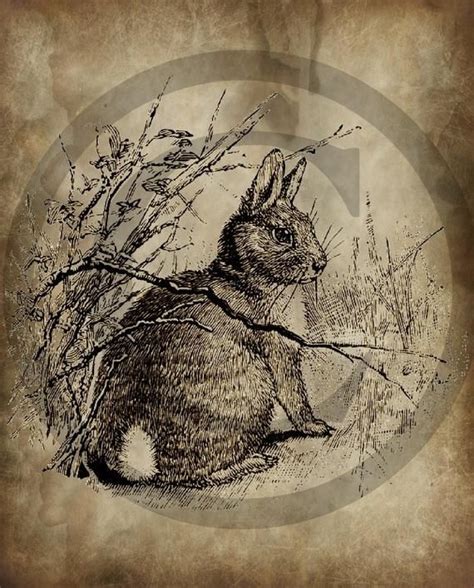 Vintage Rabbit Printables