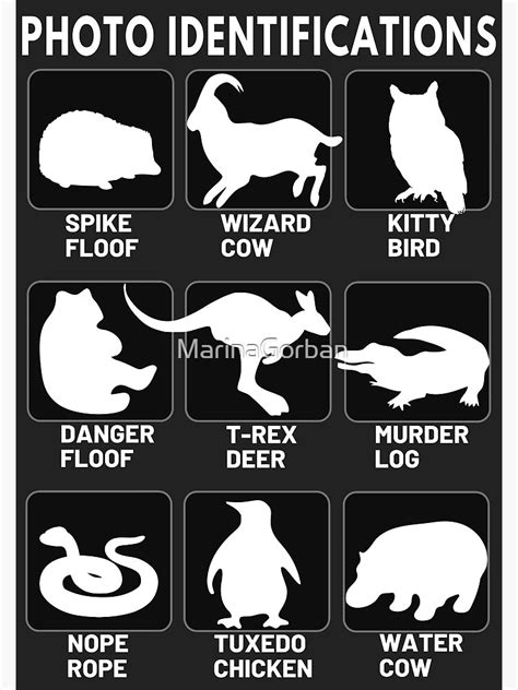 "Alternate Animal Names Photo Identification Funny Labels" Poster for ...