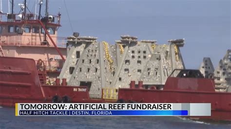 Students Look To Raise 10k To Build 10 Artificial Reefs In Gulf Of