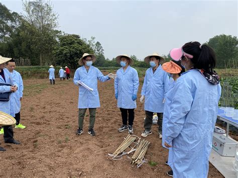 四川省农业科学院农业资源与环境研究所院植保所召开2022年度农药药效现场检查迎检推进会