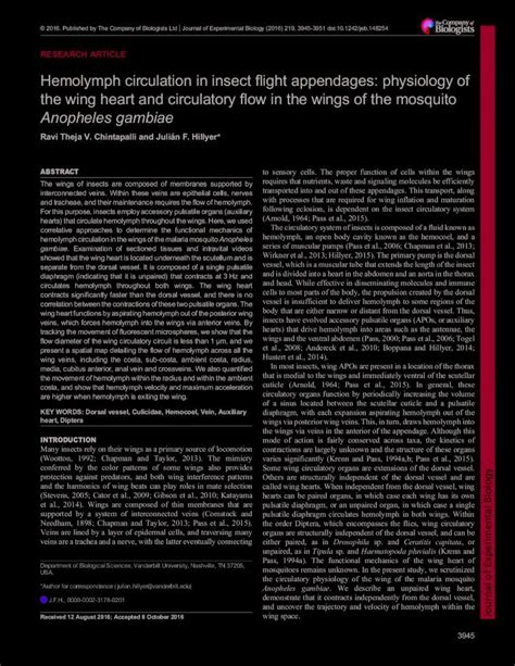 (PDF) Hemolymph circulation in insect flight appendages ... · Hemolymph circulation in insect ...