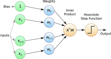 Olay, olay tetikte sağ perceptron neural network kablosuz ilk derived