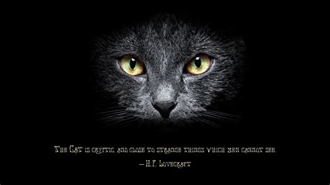 H. P. Lovecraft Quotes. QuotesGram