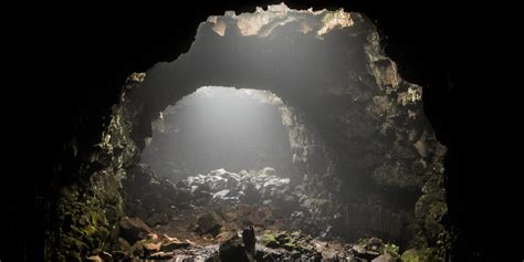 Five Perfect Holiday Gifts for the 8,000 Spiders Who Raised You in That ...