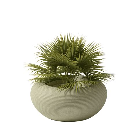 Nami Planter Mix | Qeeboo
