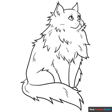 Fluffy Persian Cat Coloring Page | Easy Drawing Guides