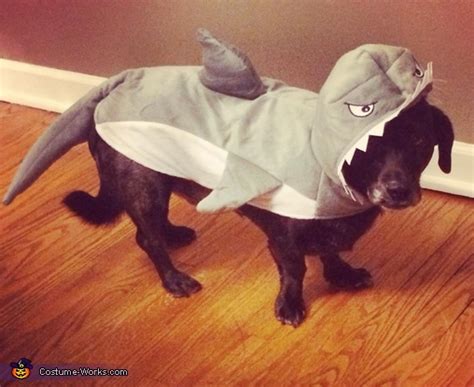 Shark Dog Costume | Affordable Halloween Costumes