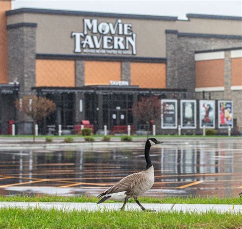 Shoppers Converged On Brookfield Square After The Mall Reopened On