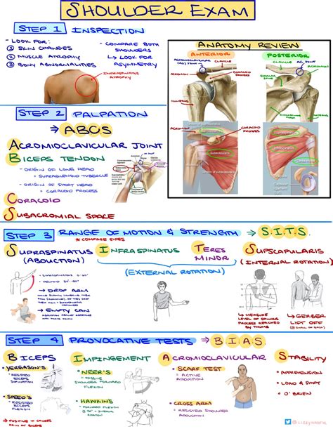 Shoulder Exam Template Documentation