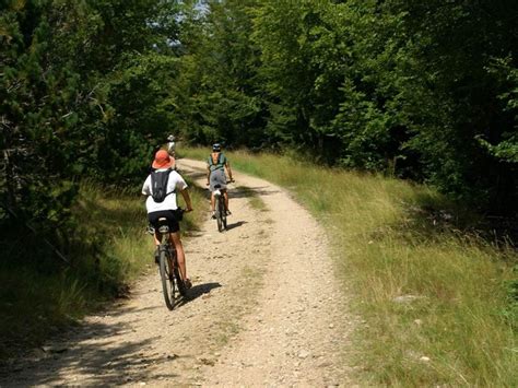 Espace VTT Massif De L Aigoual Circuit 3 Descente De La Draille