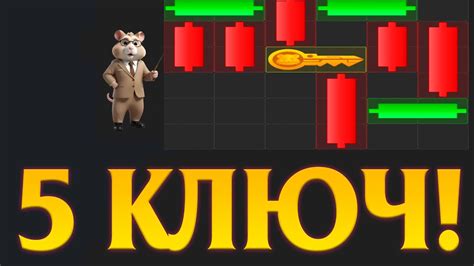 5 ключ Мини игра в Хамстер Комбат на сегодня 23 24 Июля Mini game