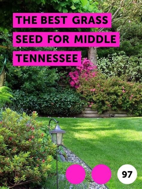 The Best Grass Seed For Middle Tennessee Tennessee Falls Into What The