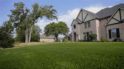 The Ultimate Guide To Zoysia Grass In Texas Is It The Right Choice For