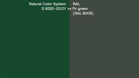 Natural Color System S 6530 G10y Vs Ral Fir Green Ral 6009 Side By