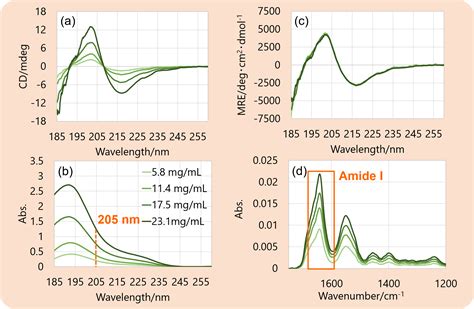 Higher Order Structure Analysis Of High Concentration Monoclonal