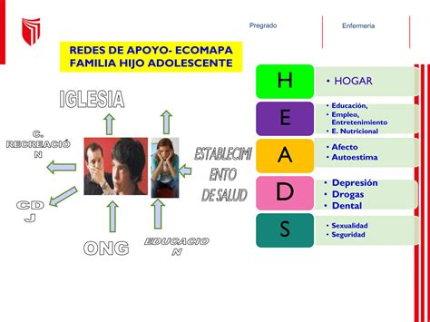 SESION 2 Instrumentos de intervención ficha familiar familiograma