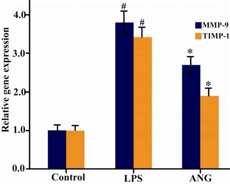 Analysis Of Mmp And Timp Gene Expression By Real Time Pcr