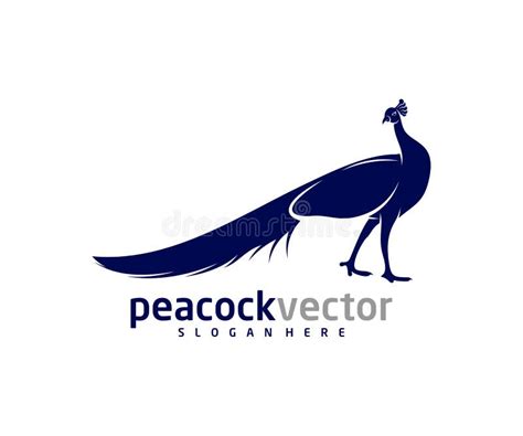 Peacock Logo Design Vector Template Peacock Bird Illustration Stock