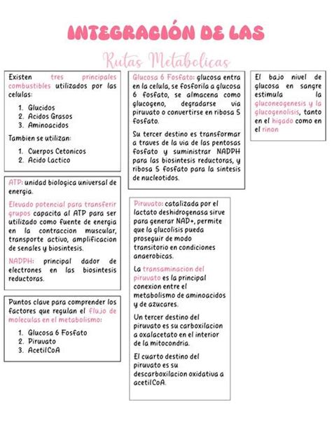 Integración de las Rutas Metabólicas Bioquímica II Dafne uDocz