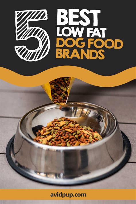 Top-5-Best-Low-Fat-Dog-Food-Brands,-Over-the-Counter-&-on-Prescription ...