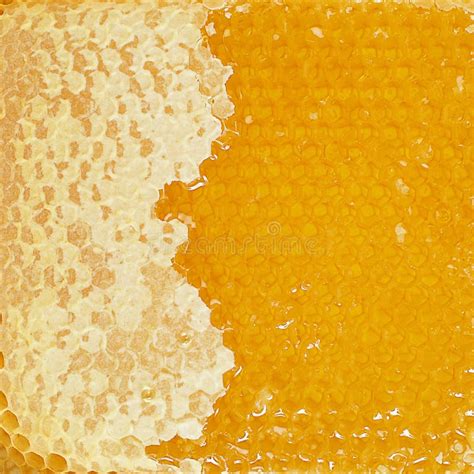 Honey Comb Texture Stock Image Image Of Natural Golden