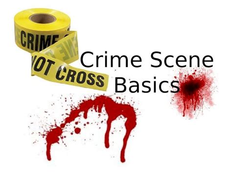 PPT Crime Scene Basics The Crime Scene Crime Scene Any Physical