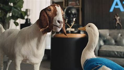 New Aflac marketing campaign features Gap Goat with Duck | Columbus ...