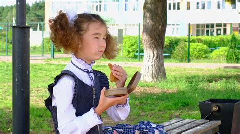 School Lunch Box Stock Video Footage for Free Download