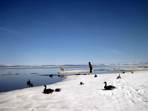 Native Alaskan Culture and Wildlife | Alaskan NW Adventures