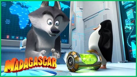 Dreamworks Madagascar Em Portugu S Secret Rio Mascote Os Pinguins