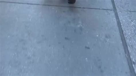 Video Tagged With Tight Butt Ass Jiggle Candids2k24 On Tumblr