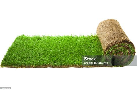 Gulungan Karpet Rumput Foto Stok - Unduh Gambar Sekarang - Digulung ...