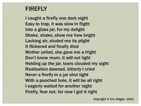 Firefly Written Words Never Die