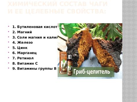 Презентация " Чага- удивительный гриб"