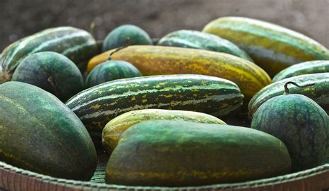 foxtrot