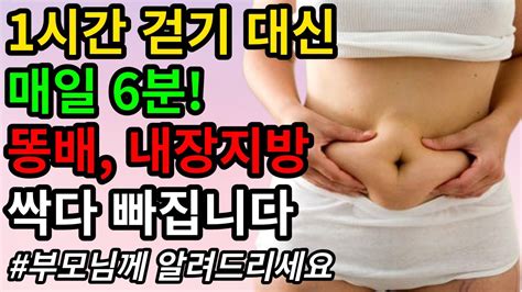 유독 뱃살 똥배만 나온 중년을 위한 기적의 1시간 걷기 대신 뱃살 내장지방 빼는 최고의 운동 올챙이배 뱃살 내장지방 빼는