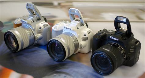Calling All Canon Fans! The Canon EOS 6D Mark II Has Arrived | ePHOTOzine