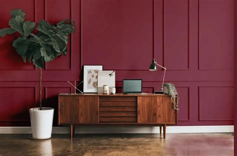 Benjamin Moore Cranberry Cocktail Real Pictures