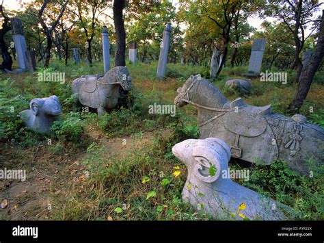 Qufu Steinstatuen im Kong Woods angestammten Friedhof der Familie des Konfuzius (Kong Fuzi ...