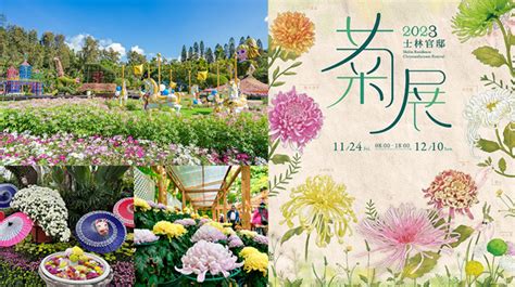 2024【士林官邸菊展】20萬朵菊花展區，免費看17天！展出時間活動 吃貨瑪莉