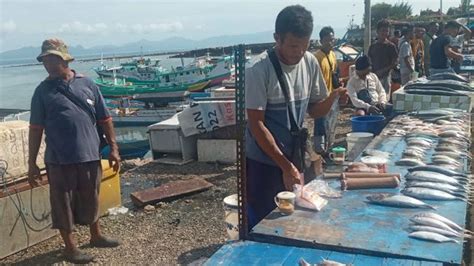 Imbas Cuaca Buruk Harga Ikan Di Kupang Melejit Hingga Lebih 100 Persen