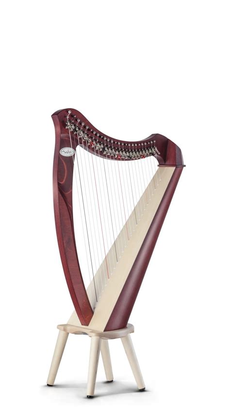 Student Lever Harp Collection - Salvi Harps