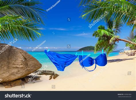 Bikini Hanging On Rope Tropical Beach Stock Photo Shutterstock