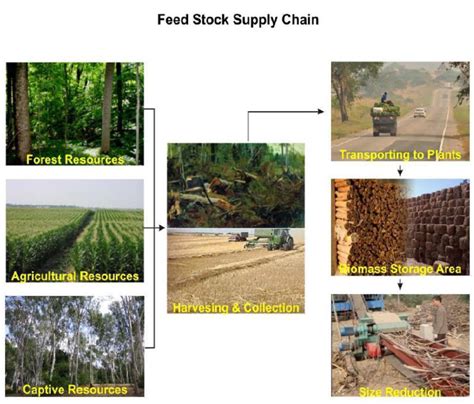 Feedstock to Biofuels Opportunities for advanced biofuel – Bioenergy