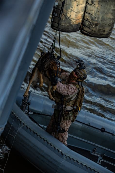 Dvids Images St Meu Mrf Refines Vbss Capabilities Image Of