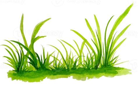 watercolor grass png