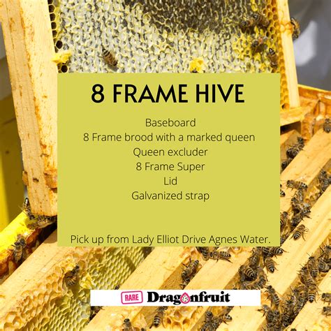 hive fruit grow a garden 8