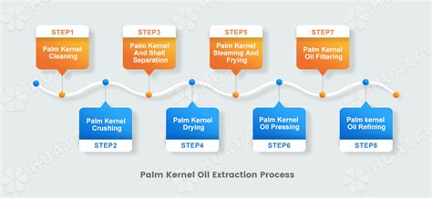 Palm Kernel Oil Extraction,Palm Kernel Oil Expeller Processing-Huatai ...