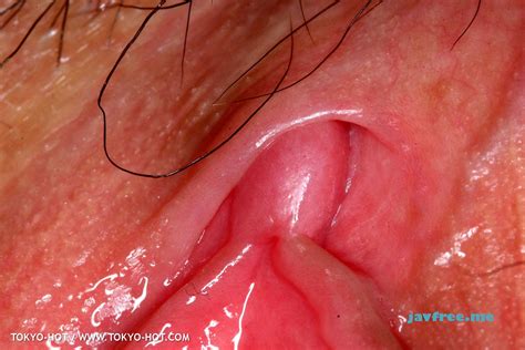 Tokyo Hot N High Quality Jav